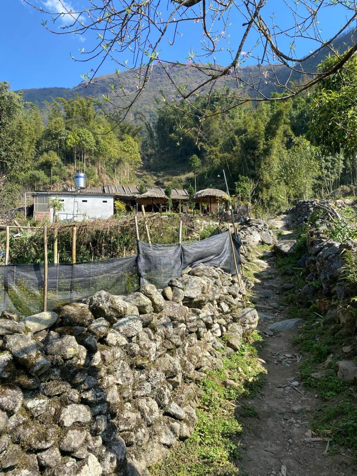 Sue Pa Family Trekking Homestay Sapa Exterior foto