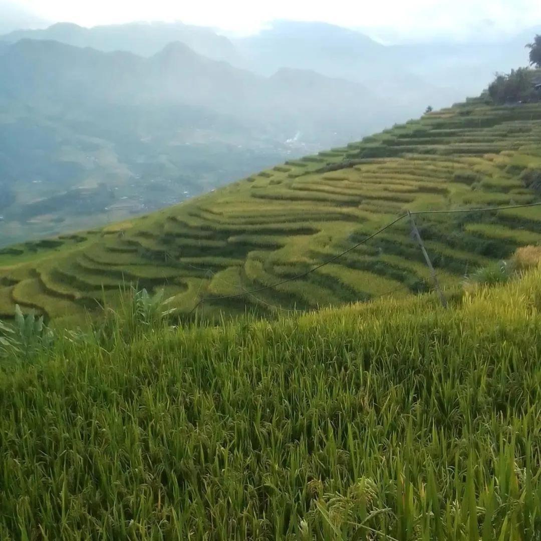 Sue Pa Family Trekking Homestay Sapa Exterior foto
